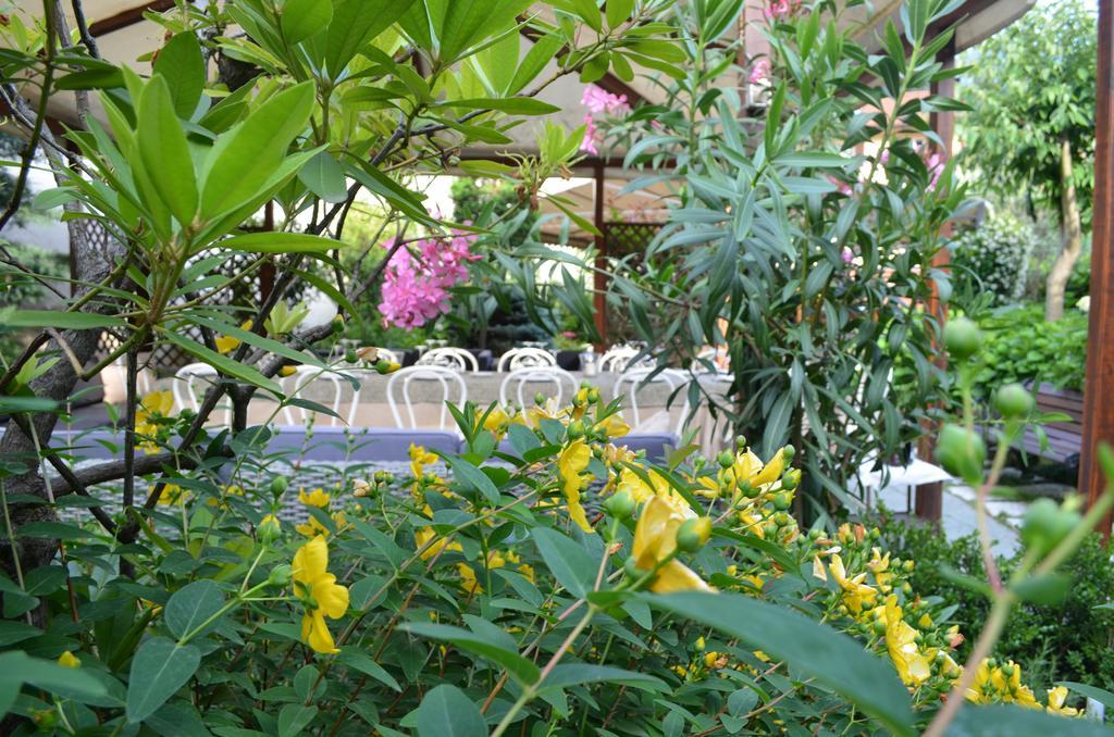 Albergo Giardino Cernobbio Zewnętrze zdjęcie